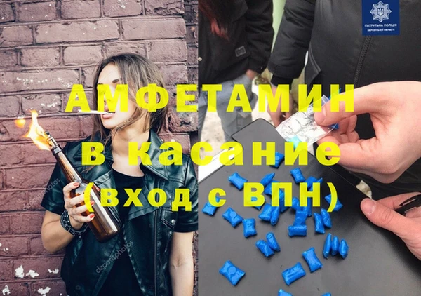 шишки Нея