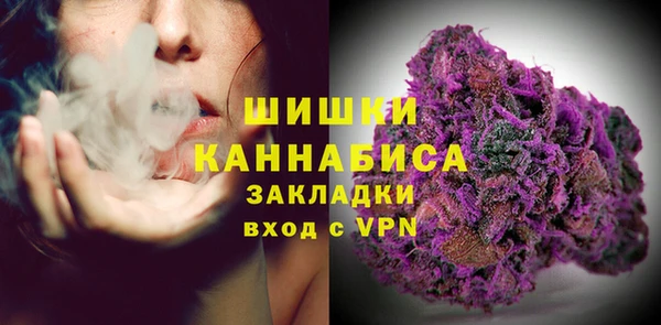 шишки Нея