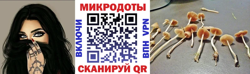 KRAKEN   Киренск  Псилоцибиновые грибы мухоморы 